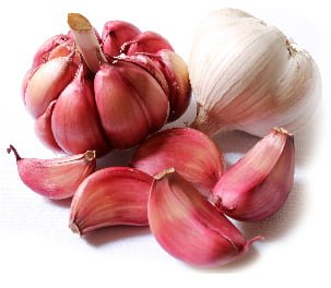 producto-ajosprincipe