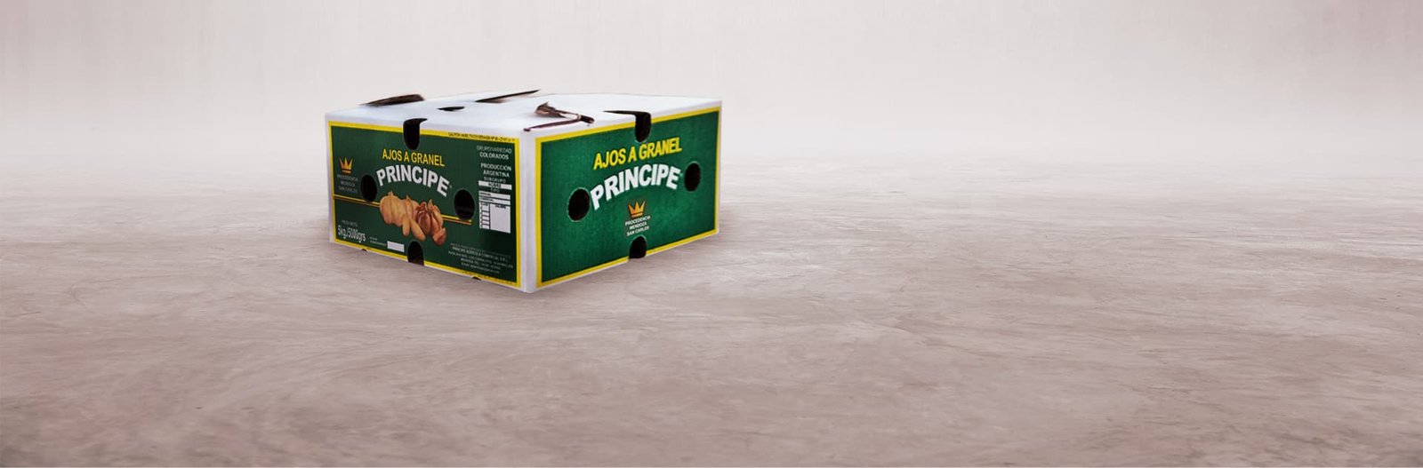 caja ajos sds